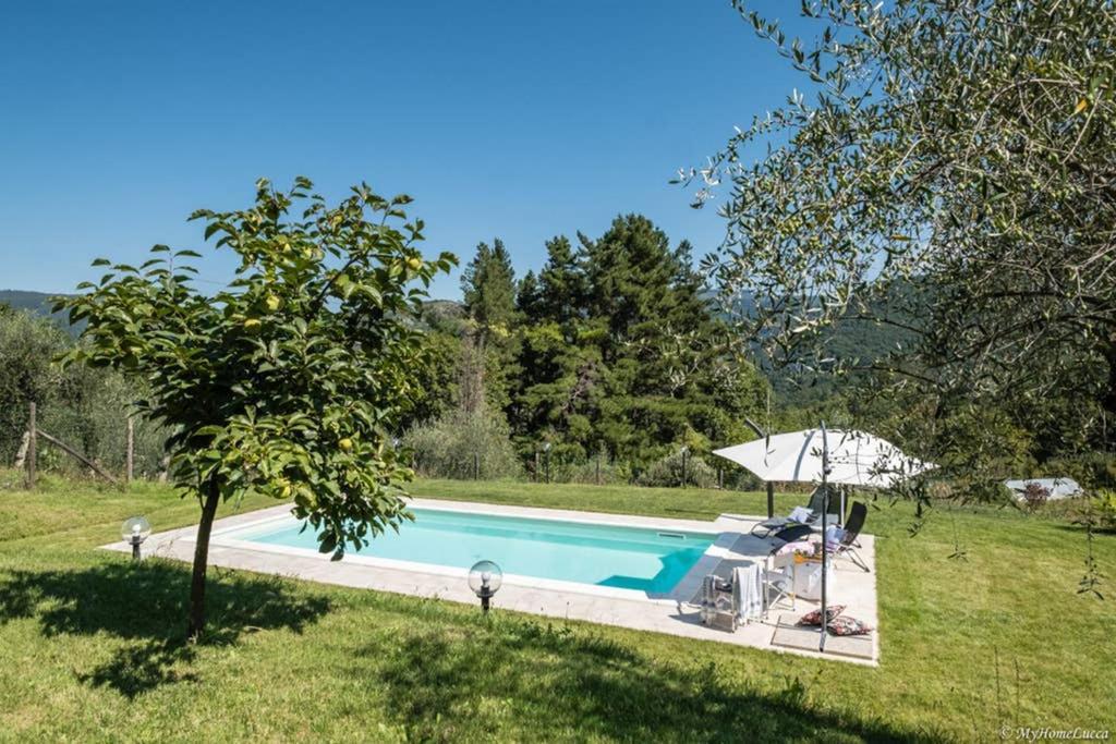 Alla Bella Aurora With Amazing Pool In Tuscany Лукка Экстерьер фото